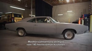 Panttilainaamon autospesialistit - Villiä vedonlyöntiä