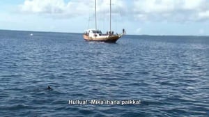 Unelmien poikamiestyttö - Viimeinen ruusu