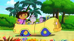 Seikkailija Dora (S) - Nikkarikoje