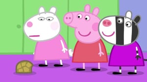 Pipsa Possu (S) - Tohtori Hamsterin kilpikonna