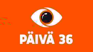 Big Brother Suomi - Onnea ja onnettomuutta