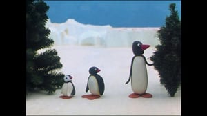 Pingu (S) - Pingu (S)