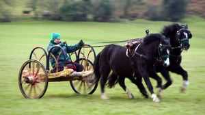 Kelttiläisen haudan salaisuudet (7) - Kelttiläisen haudan salaisuudet (7)