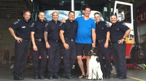 Työkoiria (7) - Jackson ja The Pygmy Goats / Sam ja Molly