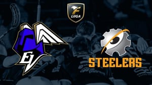 ErVi - Steelers, miehet Fanikamera - ErVi - Steelers, miehet Fanikamera 11.1.