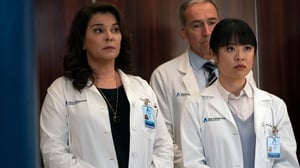 New Amsterdam (12) - Radical