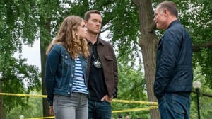 Chicago P.D. (16) - Pahat pojat