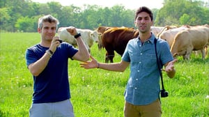 Catfish: The TV Show(Paramount+) - Hooked on Catfish: The Road to Catfish