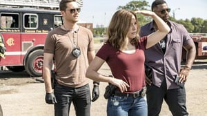 Chicago P.D. (16) - Siilot