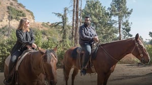 Just Another Immigrant (S) - Kohderyhmä