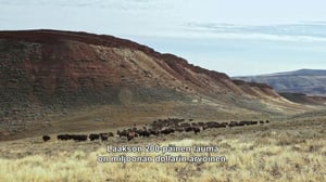 Vuorien sankarit - Kovat panokset