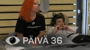 Big Brother Suomi - Korkkarit ja parta