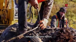 Jade Fever (7) - Iso lohkare