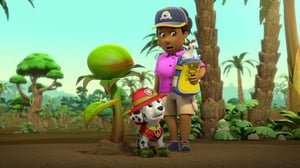 Ryhmä Hau (S) - Pennut ja jättikasvi; Magneettipulmia