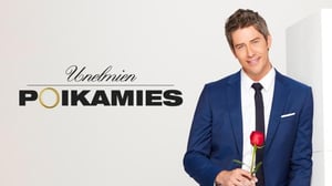 Unelmien poikamies - Matka alkaa