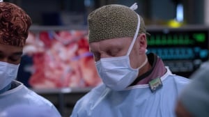 Greyn anatomia (7) - Kaikki tai ei mitään