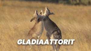 Gladiaattorit