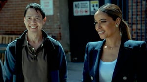 Rabbit Hole (12) - The Playbook