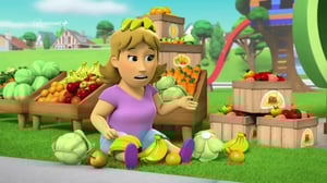 Paw Patrol(Paramount+) - Alexin uusi mini-patrol / Kadonnut etuhammas