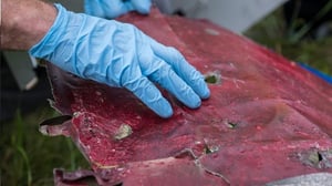 Lentoturmatutkinta - Lentoturmatutkinta 17, 4