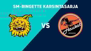 Ilves - Haukat - Ilves - Haukat 19.3.