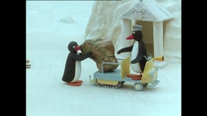Pingu (S) - Pingu (S)