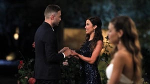 Unelmien poikamiestyttö - Kaksi poikamiestyttöä