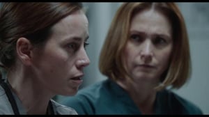 Syke (7) - Samaa puuta 2/4