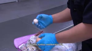 Amerikan rajavartijat - Kohtalokas harharetki