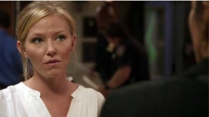 Law & Order: Special Victims Unit (12) - Scorched Earth