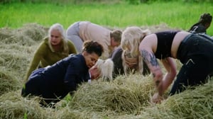 Farmi Suomi - 12 farmilaista saa paikan