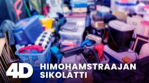 4D: Himohamstraajan sikolätti - 4D: Himohamstraajan sikolätti