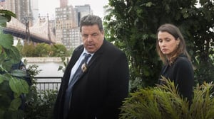 Blue Bloods (12) - Ryöstöt