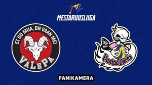 VaLePa - Ducks, Fanikamera - VaLePa - Ducks, Fanikamera 12.1.