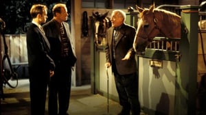 Frasier (S) - Lahjahevonen