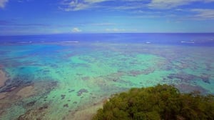 Selviytyjät Australia - Yksinäinen susi