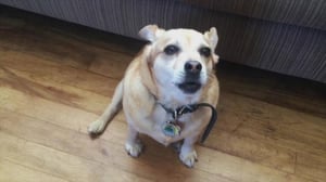 Clickbait - Clickbait