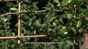 Puutarhan pelastajat - Säleikköpuut