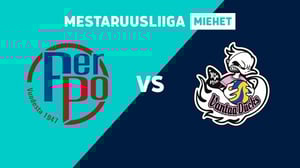 PerPo - Ducks - PerPo - Ducks 22.10.