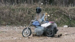 Myytinräjäyttäjät (7) - Viipurin pamaus