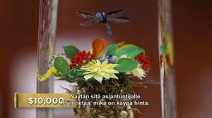 Panttilainaamo - Huuliharppumies