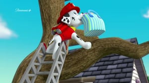 Paw Patrol(Paramount+) - Ystävyydenpäivä