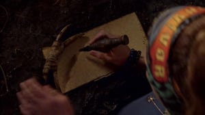 Selviytyjät Australia - Yhdeksän elämää