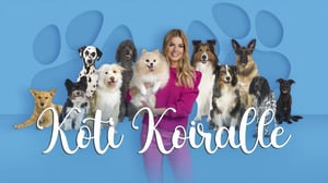 Koti koiralle - Menneisyyden vaikutukset