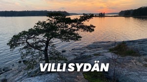 Villi sydän