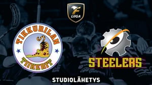 Tiikerit - Steelers, miehet Studiolähetys - Tiikerit - Steelers, miehet Studiolähetys 11.2.