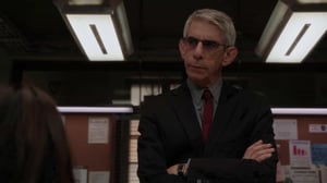 Law & Order: Special Victims Unit (12) - Educated Guess