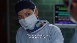 Greyn anatomia (12) - Veljeni vartija