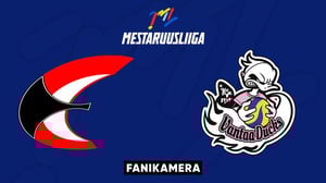 Etta - Ducks, Fanikamera - Etta - Ducks, Fanikamera 10.10.