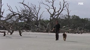 The Walking Dead (16) - Lines We Cross